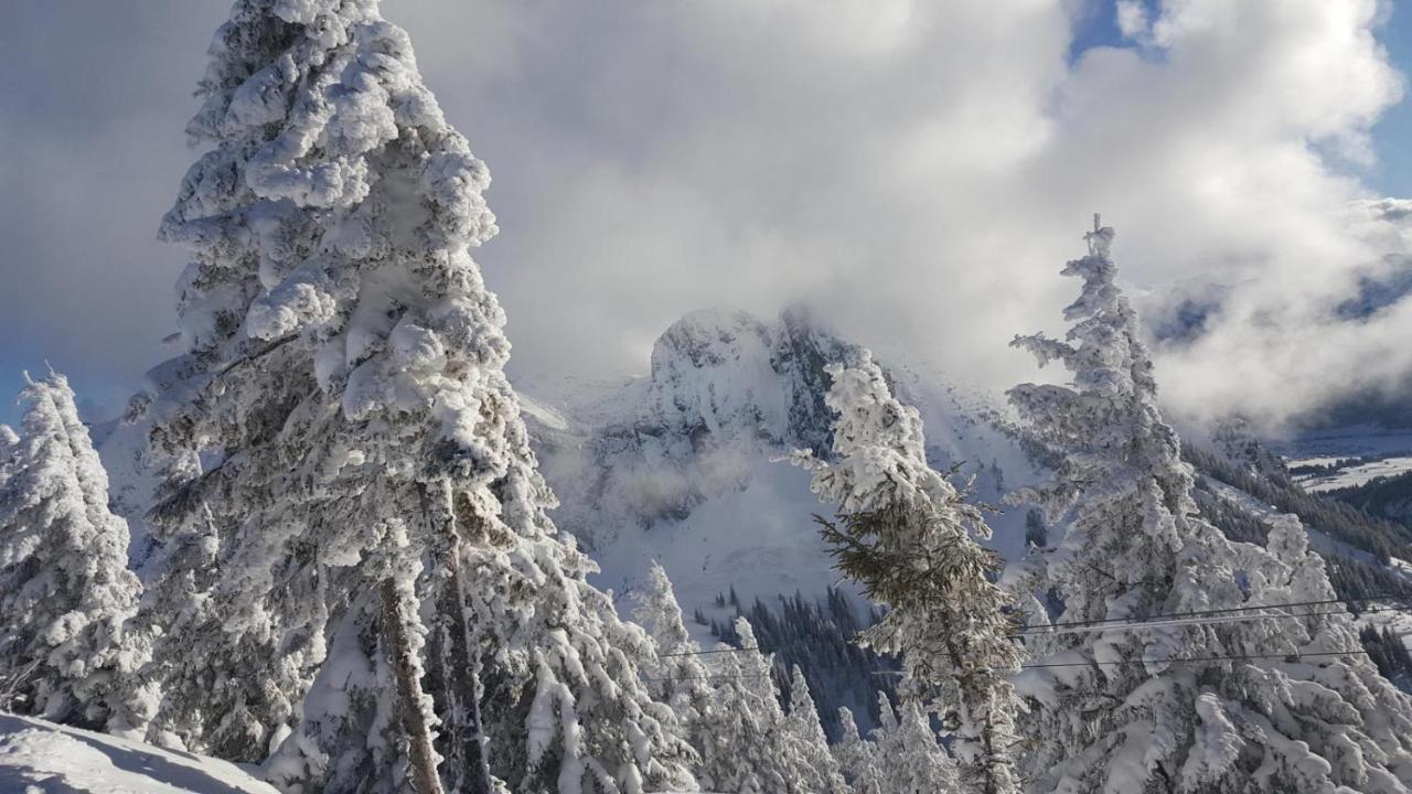 Alpenchalet Vils Tirol ภายนอก รูปภาพ